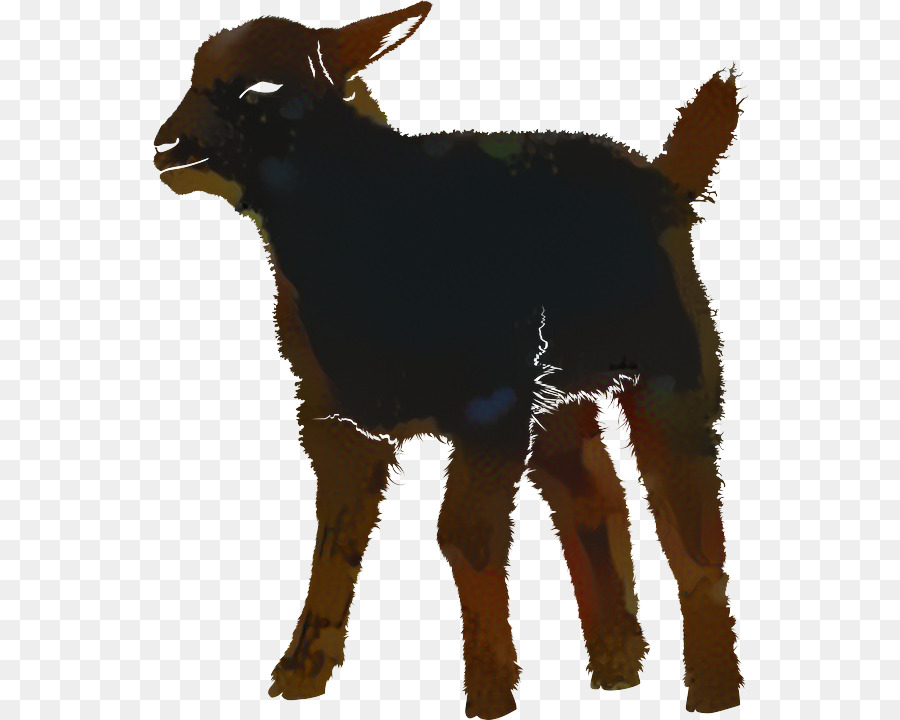 Fotografia di silhouette grafica Immagine di pecore - 