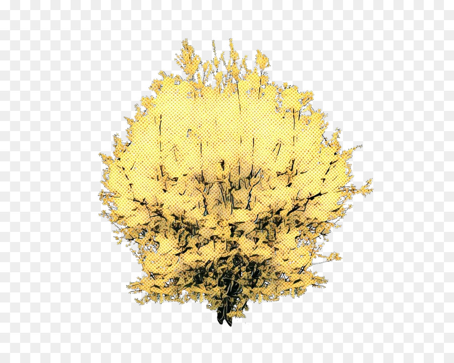 yellow Baum - 