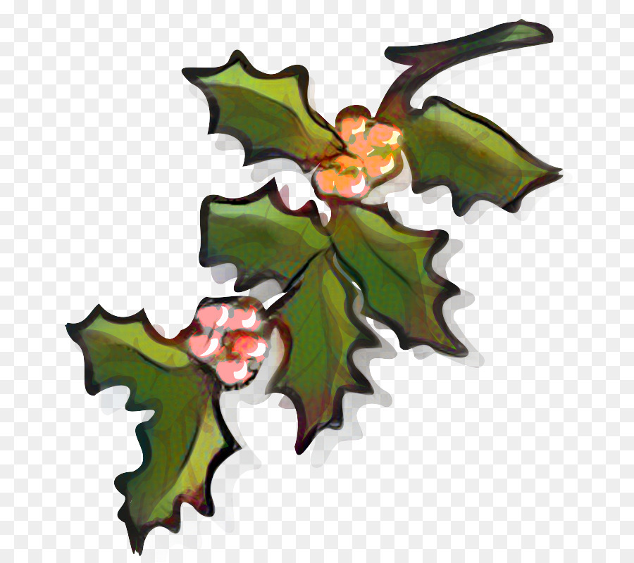 Holly Aquifoliales Christmas ornament Clip art di grafica - 
