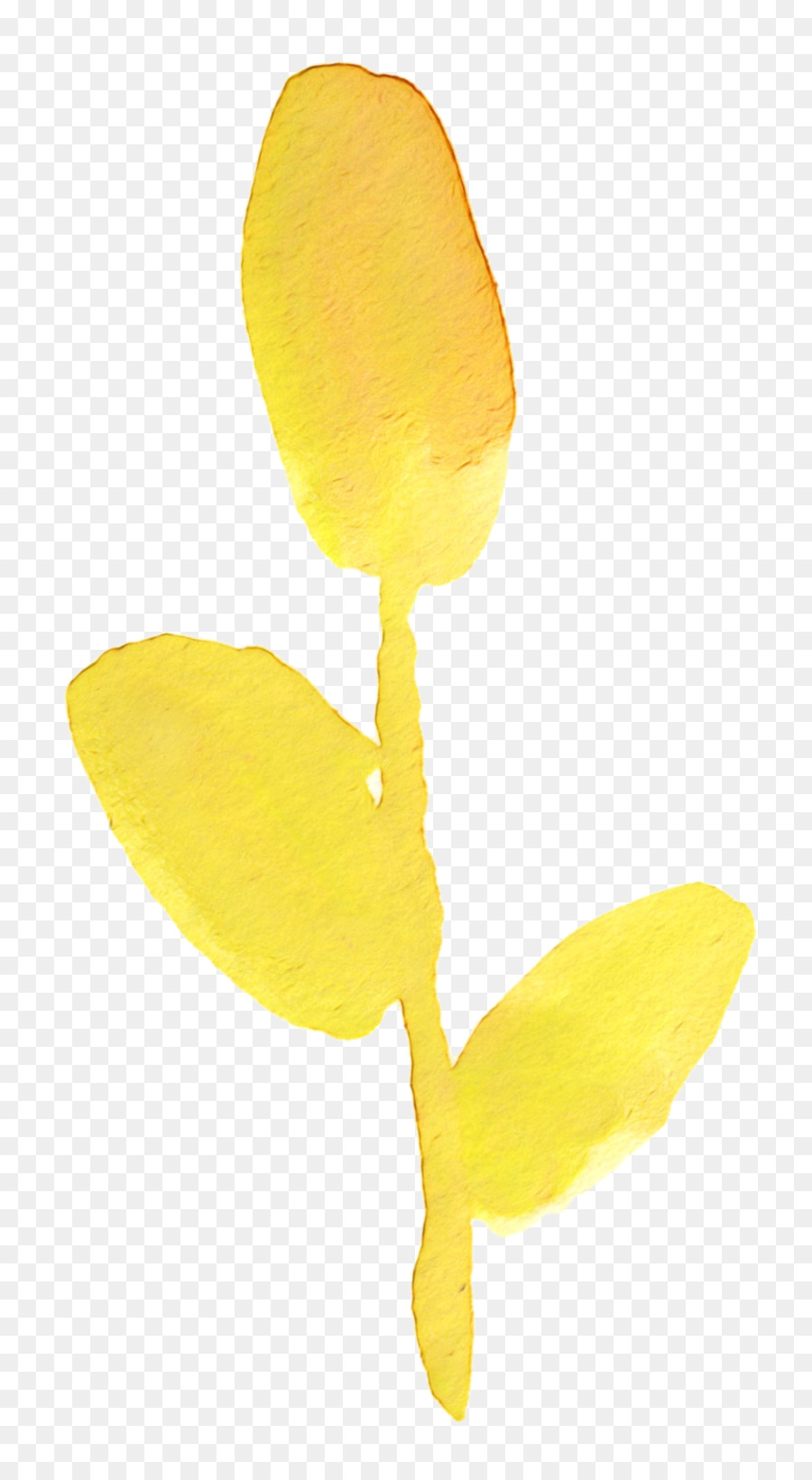 Blütenblatt gelbe Blütenpflanze Pflanzen - 