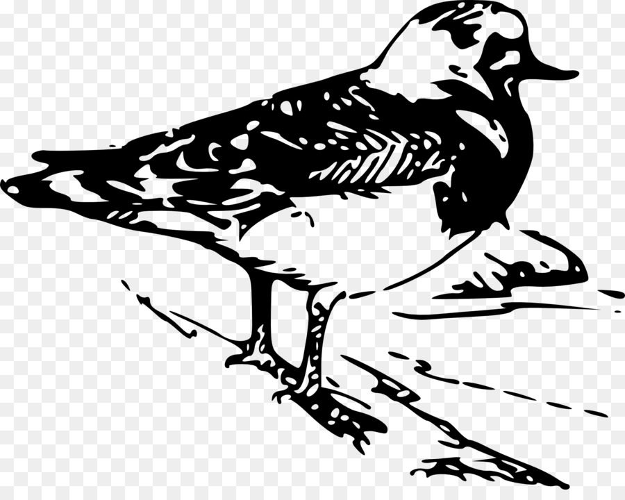 Grafica vettoriale di Bird Clip art Portable Network Graphics Tanagers - disegno di uccelli png australia