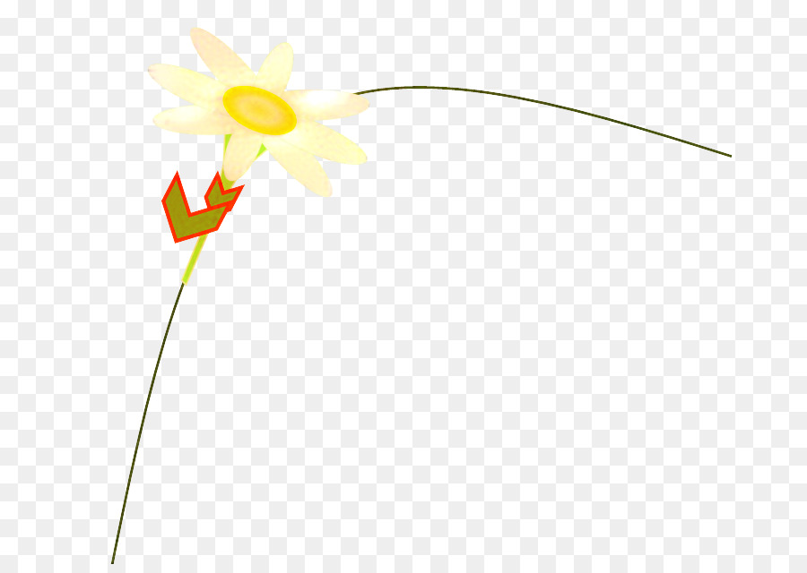 Blütenblatt gelbe Grafik Linie blühende Pflanze - 