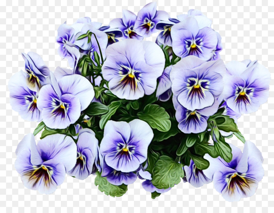 Grafica di rete portatile ClipArt di piante di fiori viola del pensiero - 