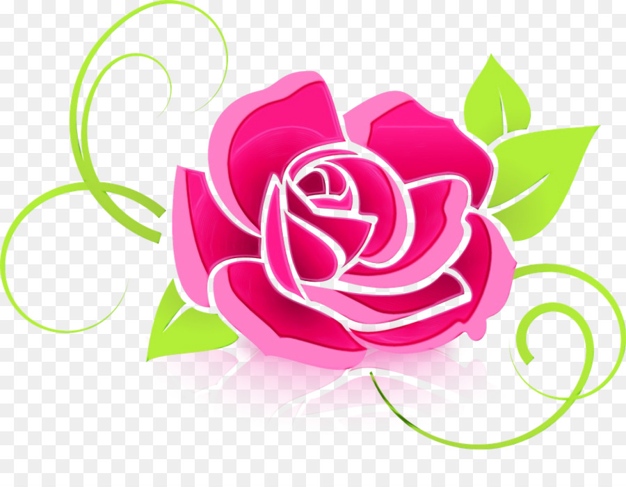 Vườn hoa hồng Bắp cải hoa hồng thực vật nghệ thuật Vector đồ họa - 