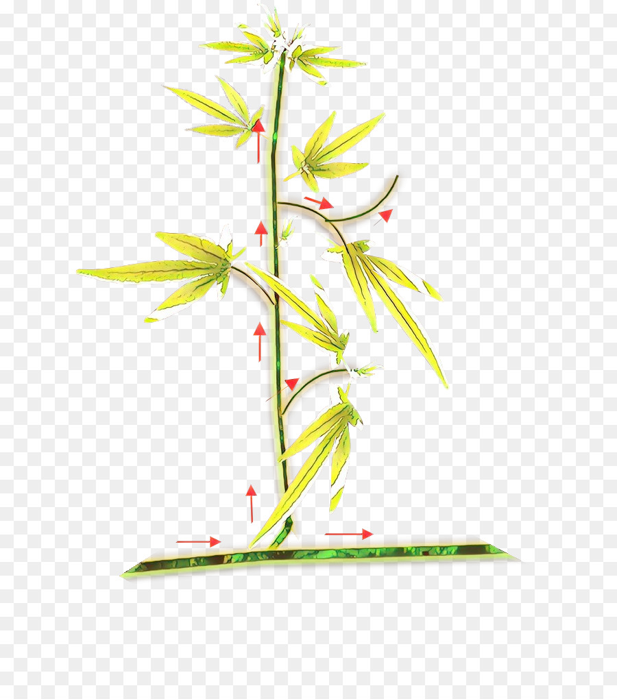 Pflanzenstamm Flower Leaf Line Graphics - 