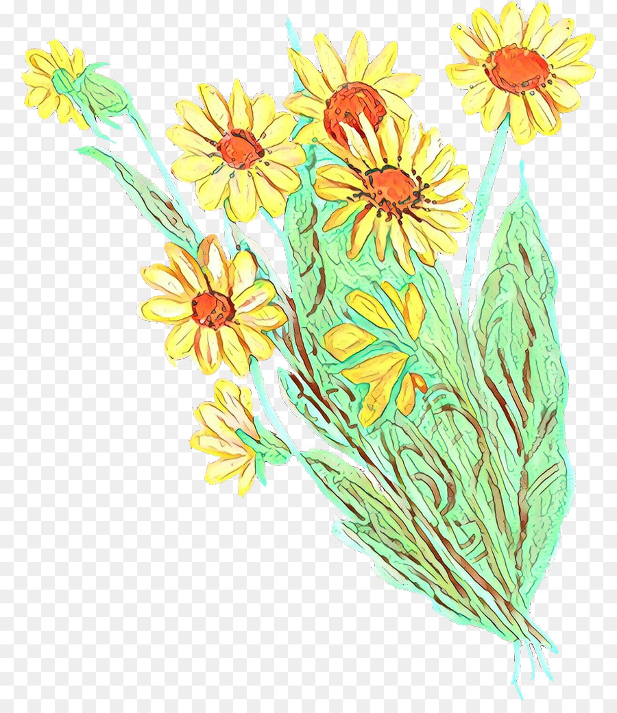 Disegno floreale Crisantemo Fiori recisi Illustrazione Tarassaco - 