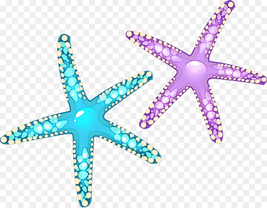 Starfish Portable Network Graphics Clip art Image Cartoon - 