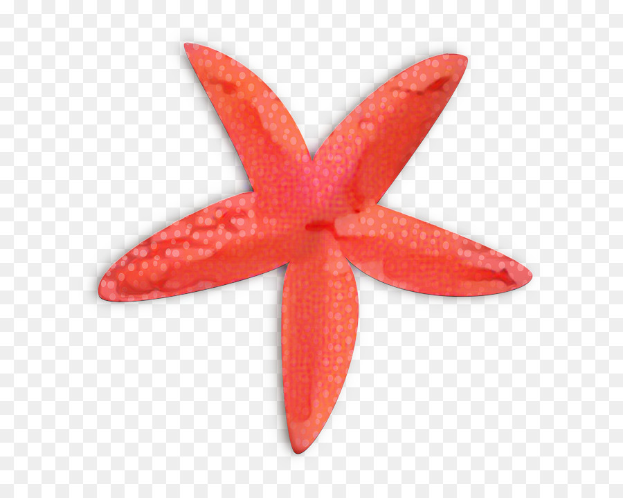 Grafica di rete portatile Immagine Clip Art Starfish Mermaid - 