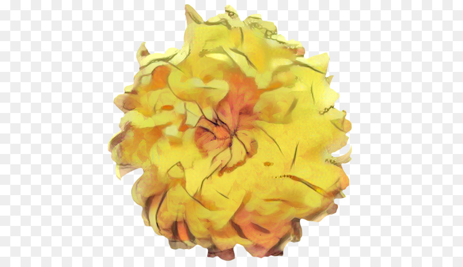 Blütenblatt gelb Schnittblumen - 