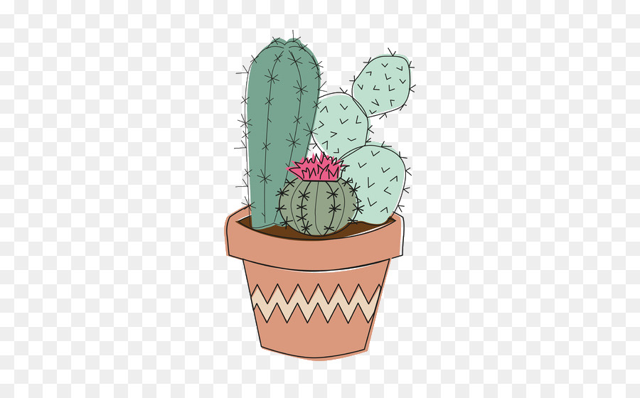 Immagine portatile del disegno di grafici di rete della pianta succulente del cactus - cactus disegno png fiore pianta