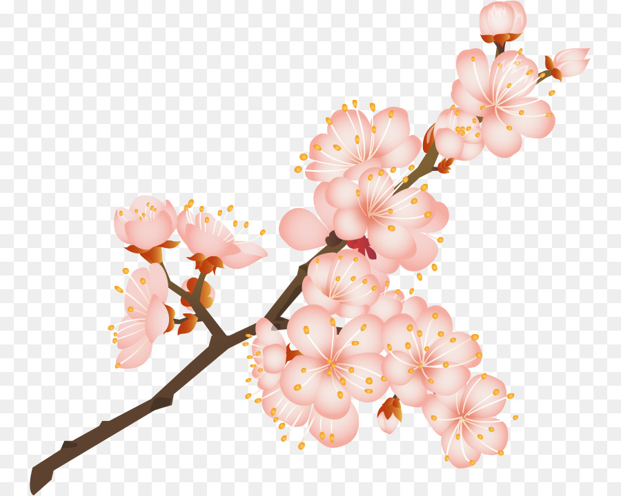 Sakura - loài hoa "chứng nhân lịch sử" cho Nhật Bản trong suốt hàng thế kỷ