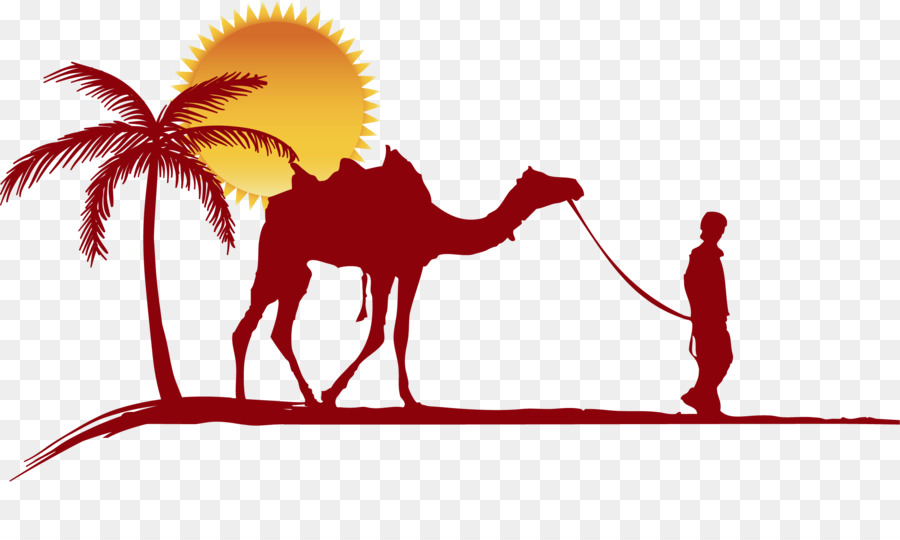 Kamel-Wüsten-Vektorgrafik, die Illustration zeichnet - maghreb png marrakech