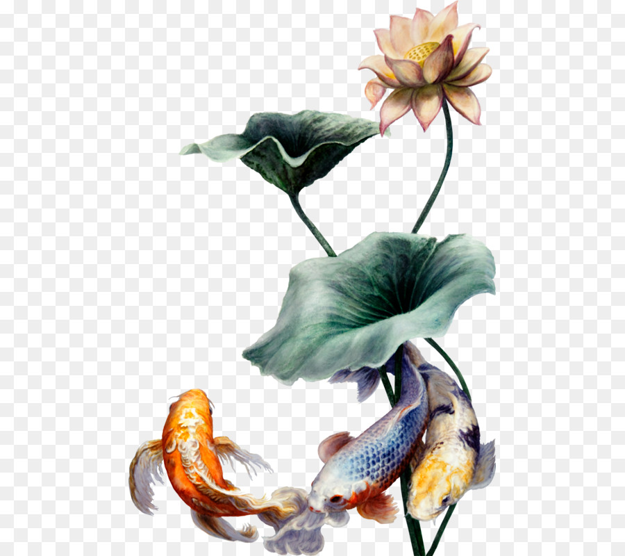 Aquarell Blume Portable Network Graphics Animation - Lotus Png Aquarell