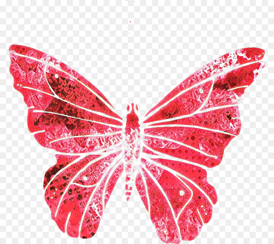 Farfalle dai piedi di spazzola Falena M. Farfalla Magenta - 
