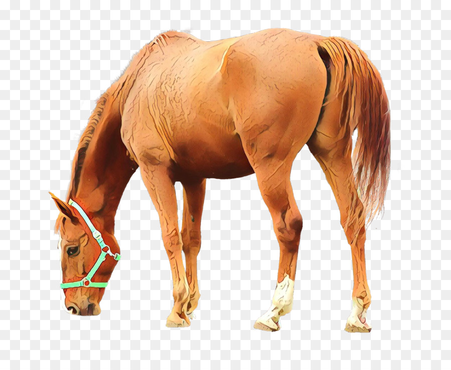 Criniera di cavallino Mustang Stallion - 