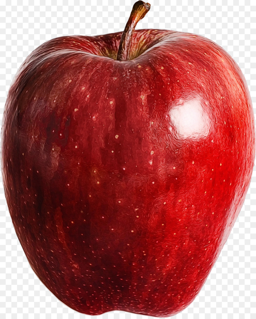 Apple McIntosh red Lebensmittel Zubehör Obst - 