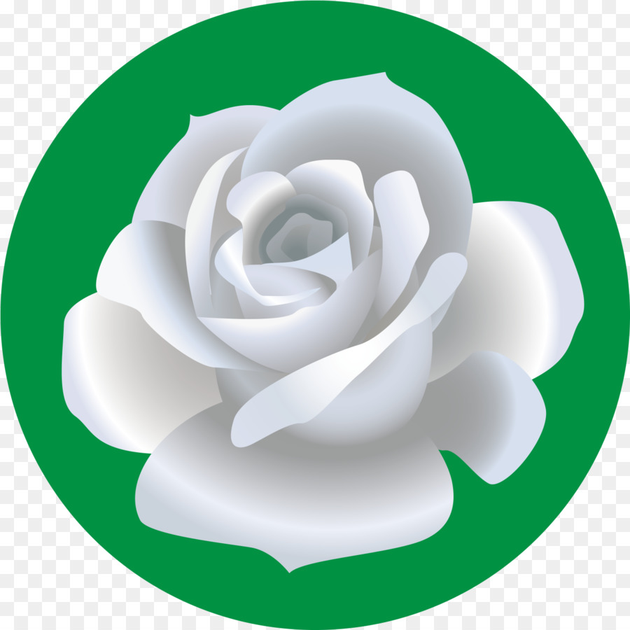 Gartenrosen Zeichnung Blume Portable Network Graphics Beach Rose - Zeichnung eines Rose Png ClipArt