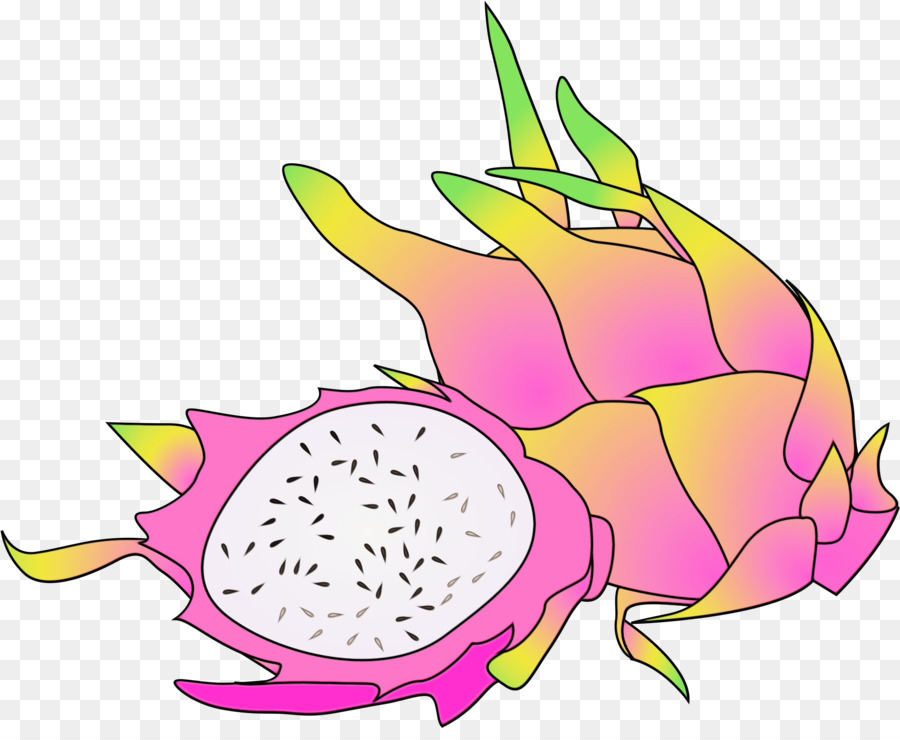 Immagine grafica di rete portatile di frutta Pitaya Clip Art - 