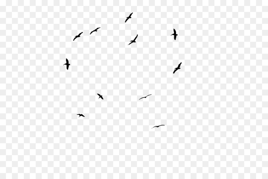 Angolo di carattere linea di migrazione degli uccelli - uccello di png nero appollaiato di corvi