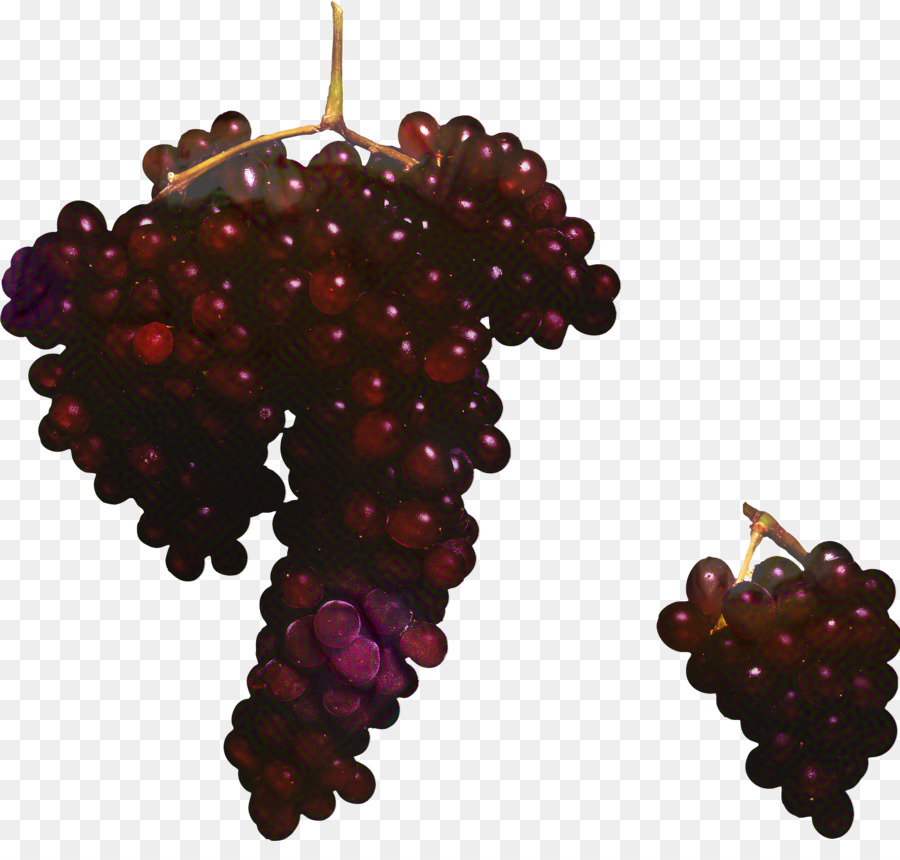 Traube Zante Johannisbeere Loganberry Boysenberry Samenlose Frucht - 