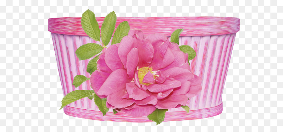 Schnittblumen Pink M Blütenblatt - Muttertag Spa Png Geschenke