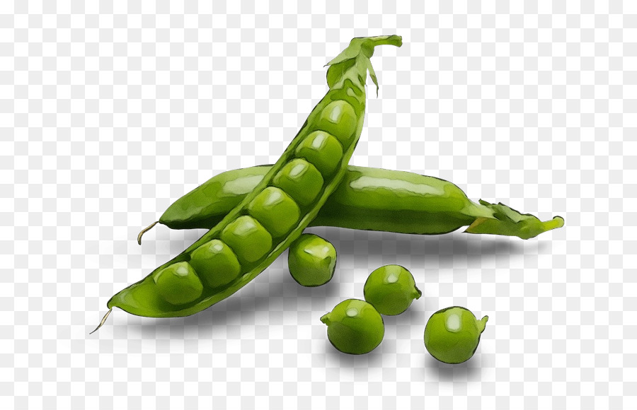 Grüne Erbsen-Schnellerbse Bean Vegetable Food - 