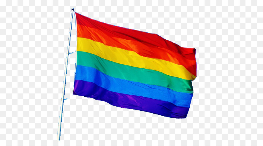 Homosexueller Stolz Regenbogenflagge Stolzparade Transgenderflaggen - Stolz Png Regenbogenfahne