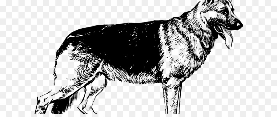Weiße Schäferhund Welpen, Schäferhund Shiloh shepherd Dog clip art - schäferhund silhouette png deutscher schäferhund