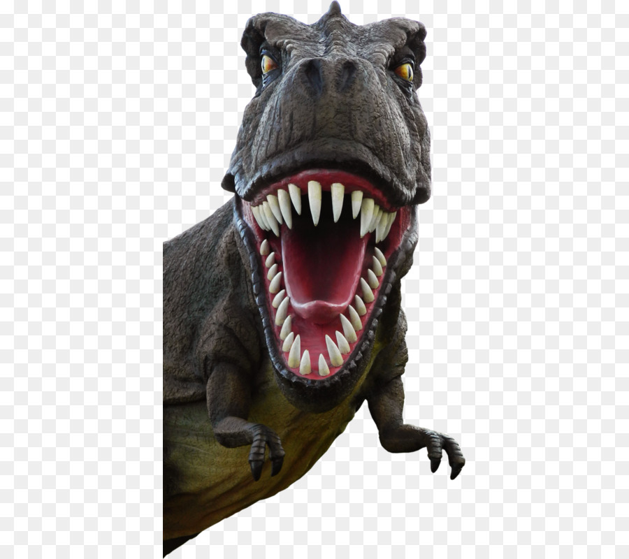 Tyrannosaurus rex Triceratops Portable Network Graphics Dinosauro Clip art - la nostra grande nazione png pantsless rex