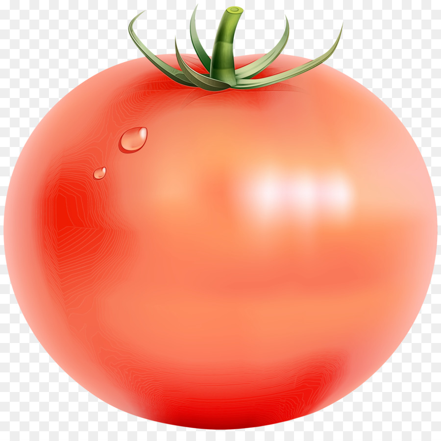 Cà chua mận, cà chua Bush - 