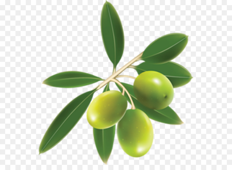 Olio d'oliva Portable Network Graphics Clip art Cucina mediterranea - download di olive png