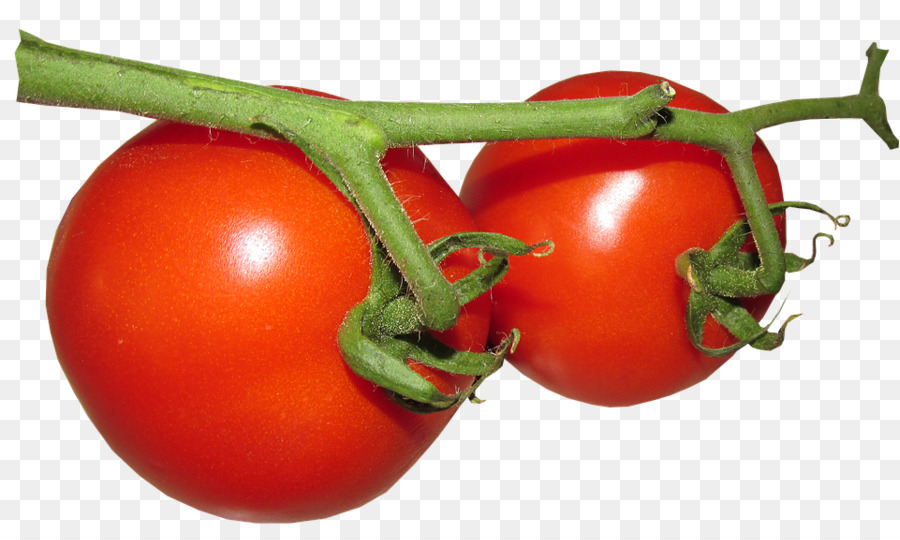 Tomaten Lebensmittel Bild Gemüse Pixabay - Tomaten png frische Tomaten