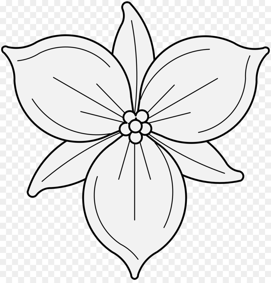 Pacific Wood Abstract Wall Art Flower, Line Drawing Botanical India | Ubuy