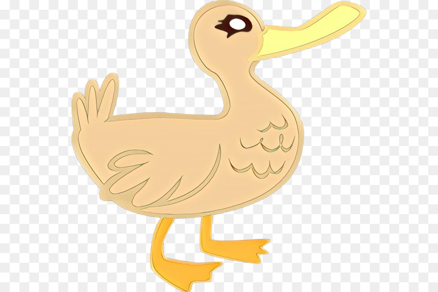 Duck Chicken Fauna Beak Seabird - 