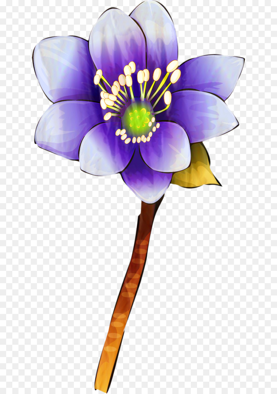 Cắt hoa Cây thân thảo Cây Petal Violet - 