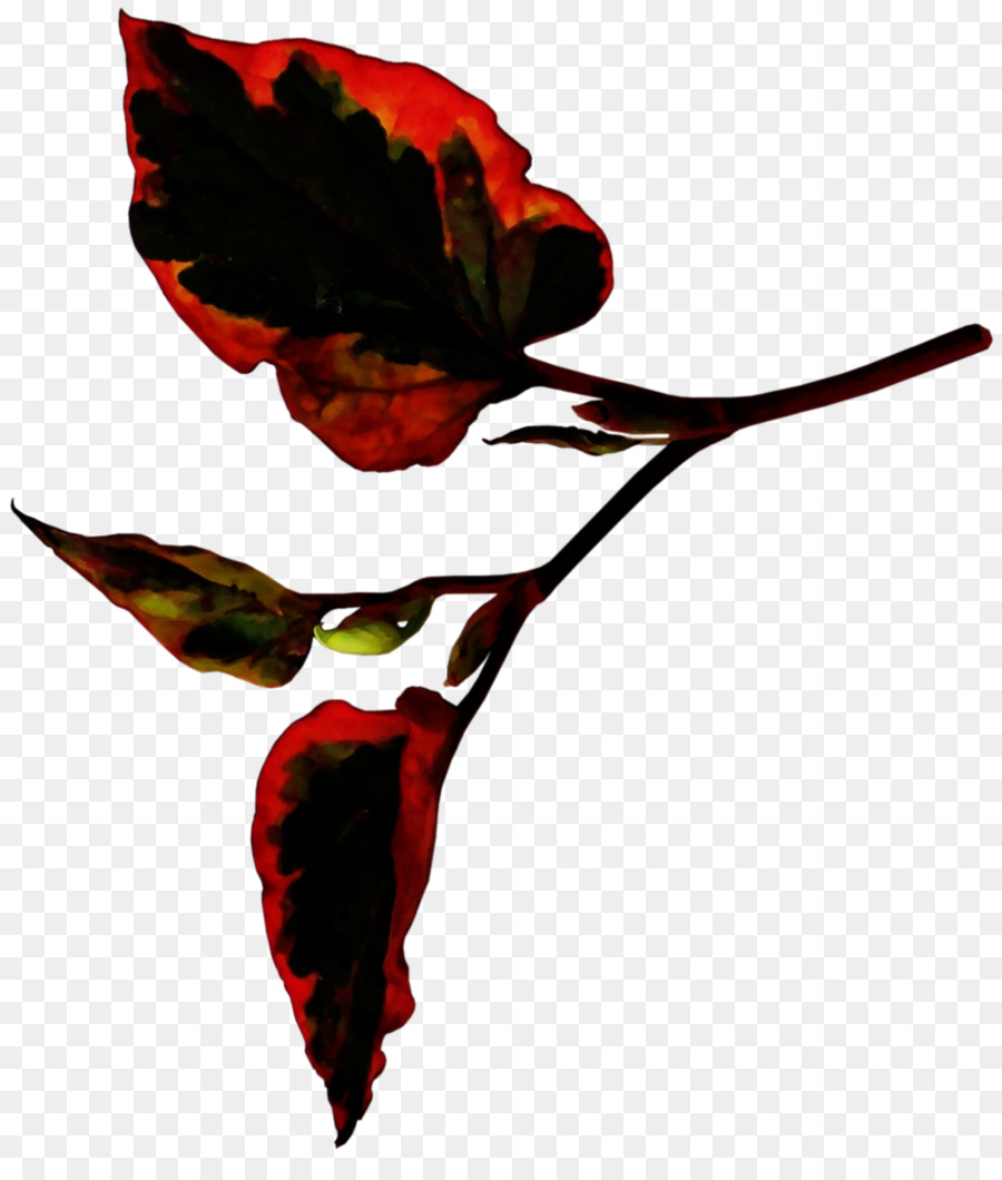 Rose Leaf