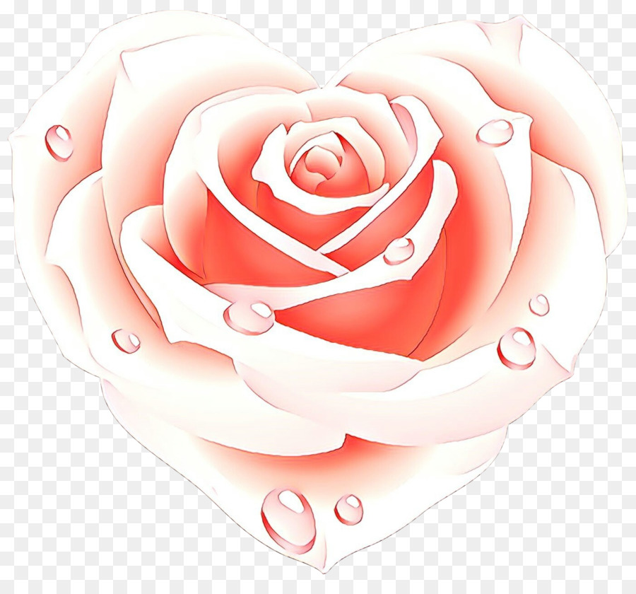Garden roses Vsevolozhsk Dating-Seite Valentine's Day - 