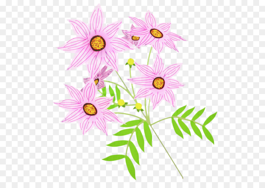 Oxeye Gänseblümchen Chrysantheme Marguerite Gänseblümchen Clip Art Illustration - 