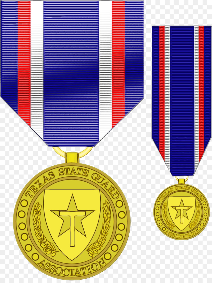 Ex Forza di difesa dello stato della medaglia del servizio di guardia statale del Texas, appartenente alla guardia statale del Texas - 
