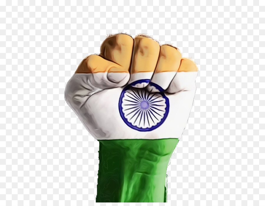 India Independence Day India Flag