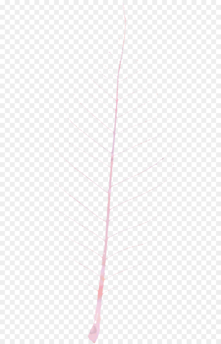 Angle Line Pink M Neck - 