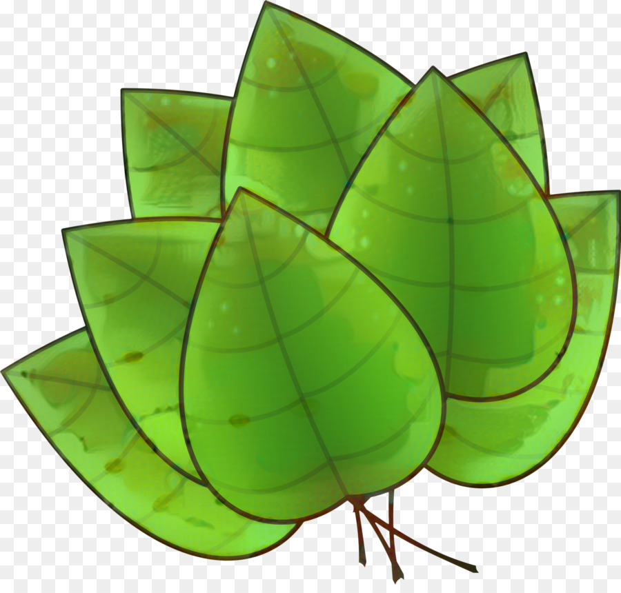 Clip art Leaf Portable Network Graphics Grafica vettoriale gratuita di contenuti - 