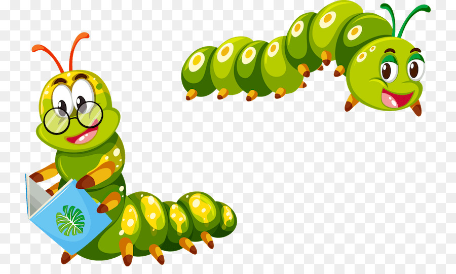 Caterpillar Cartoon png download - 800*525 - Free Transparent Insect png  Download. - CleanPNG / KissPNG