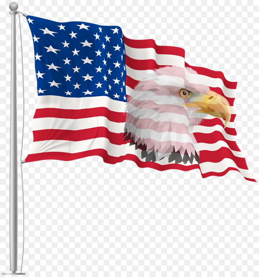 Veterans Day Usa Flag