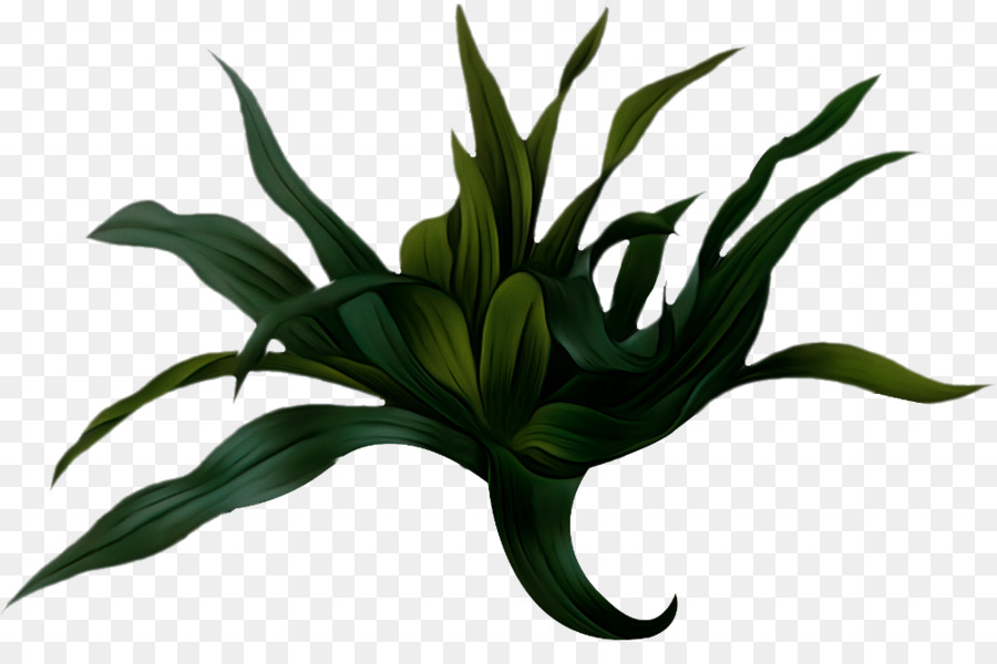 Đồ họa mạng di động Clip nghệ thuật Bức tranh màu nước Minh họa thực vật - thực vật phim hoạt hình thực vật png