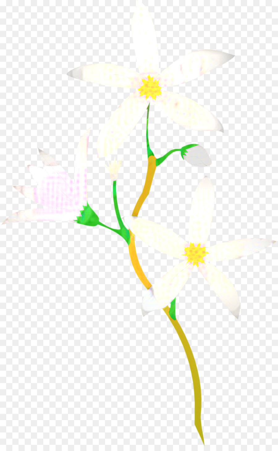 Illustration Desktop Hintergrundgrafiken Blumenmuster - 