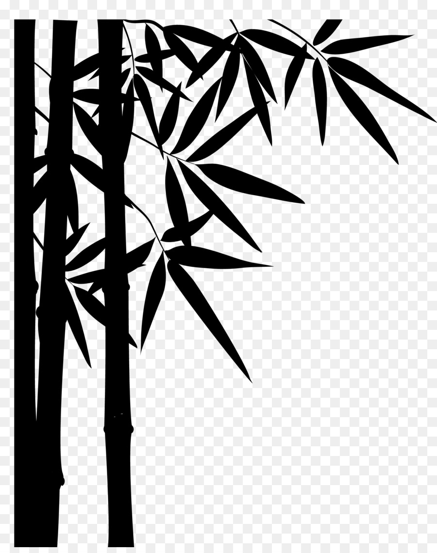 Bambù tropicali legnosi Bambuseae Portable Network Graphics Disegno panda gigante - 