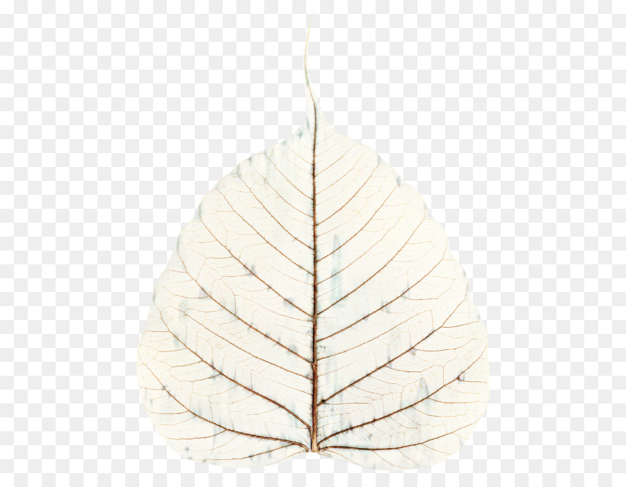 / m / 083vt Segelschiff Leaf Wood - 