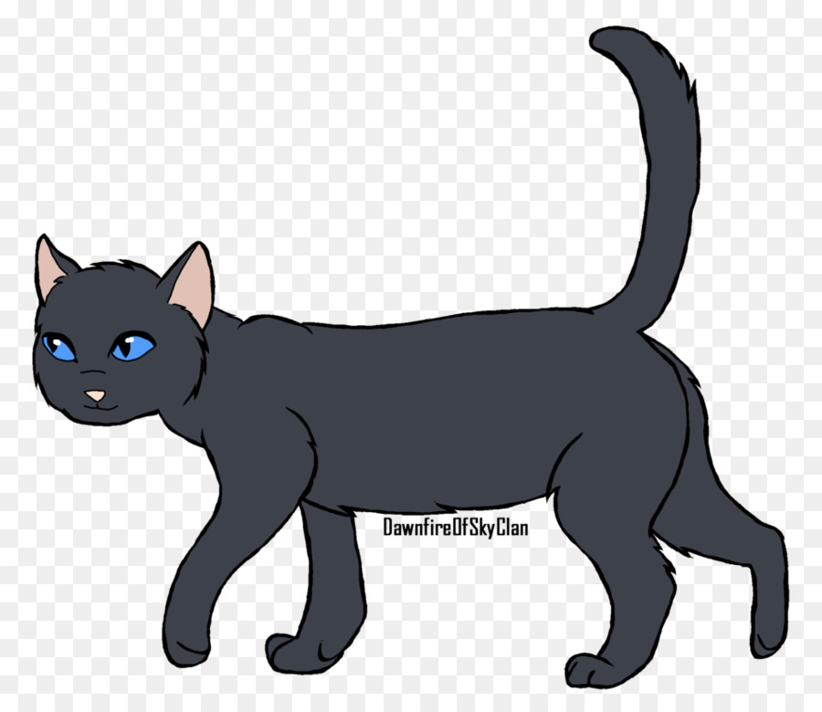 Schwarze Katze Korat Kurzhaarige Hauskatze Whiskers Wiki - bitterkalte Cartoon Png Deviantart