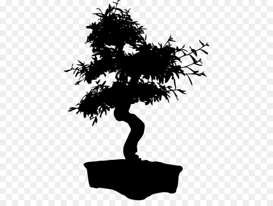 Đồ họa mạng di động Clip nghệ thuật Zen Silhouette bonsai - cây katsura png cây cảnh